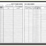Livro Registro de Documentos Fiscais e Termo de Ocorrncia