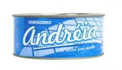 Cera em Pasta Andr�ia 400g Incolor